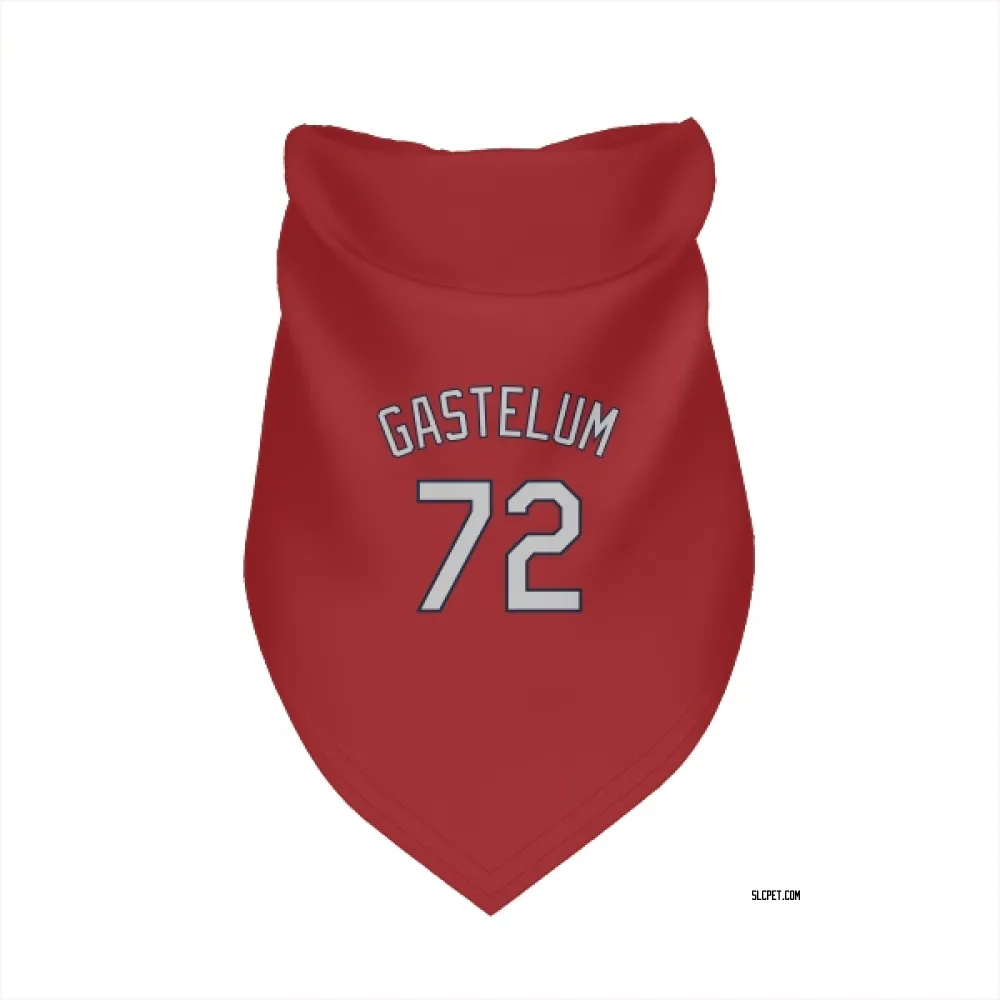 St. Louis Cardinals Luis Gastelum Red Pet Bandana for Dog & Cat