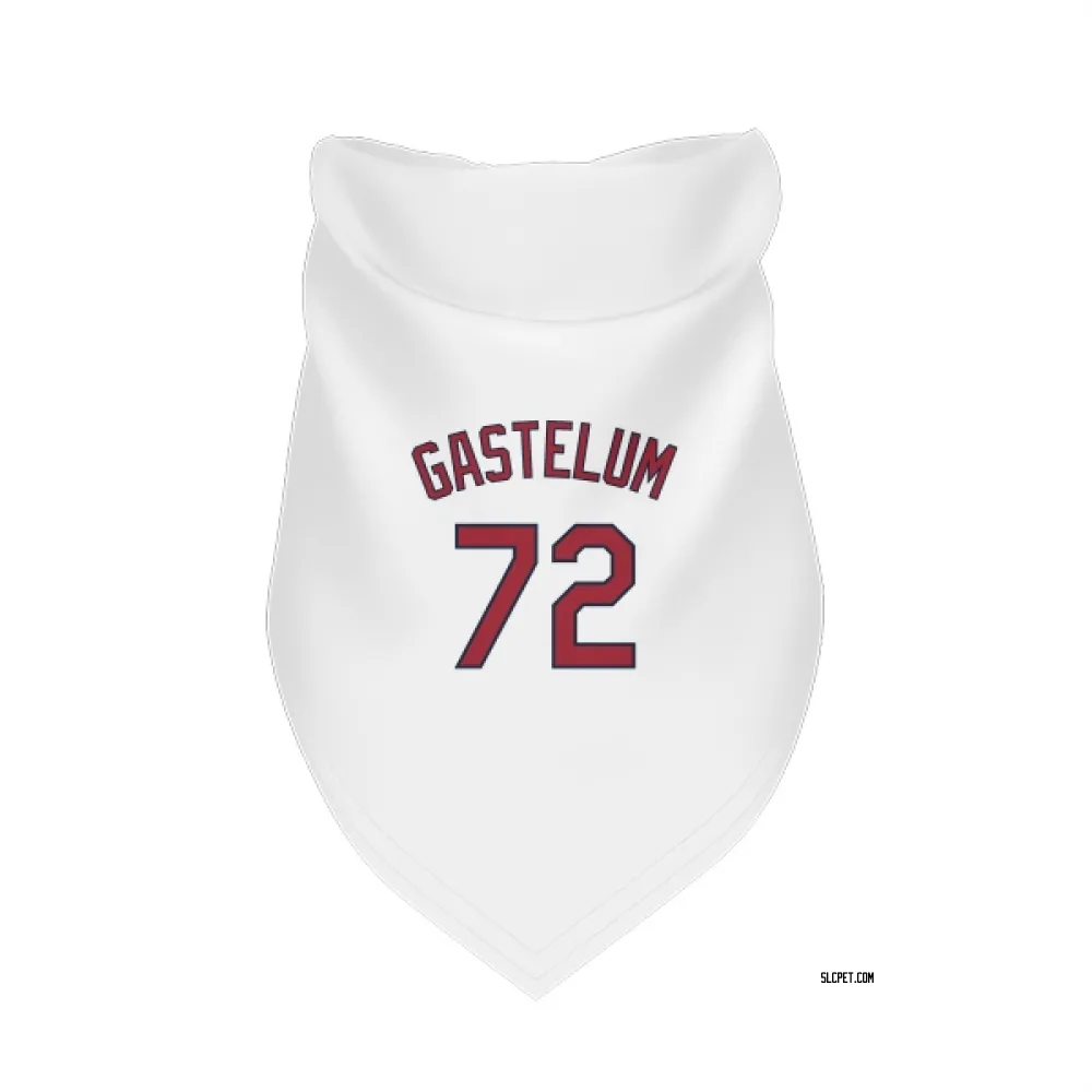 St. Louis Cardinals Luis Gastelum White Pet Bandana for Dog & Cat